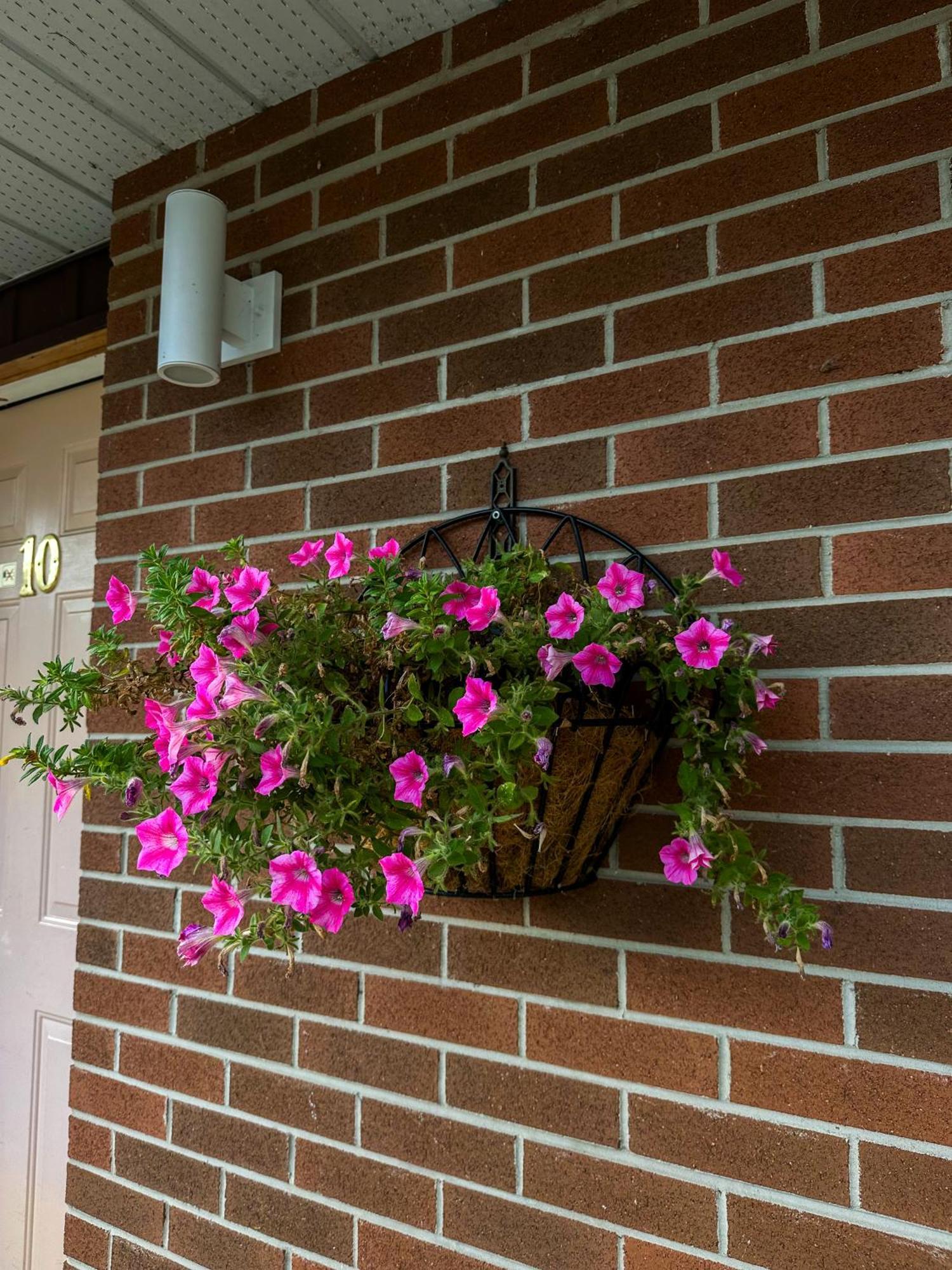 Oasis By The Bay Vacation Suites ワサガビーチ エクステリア 写真